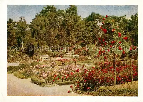 AK / Ansichtskarte Sangerhausen_Suedharz Rosarium Gedenkstein des Begruenders Albert Hoffmann Sangerhausen Suedharz