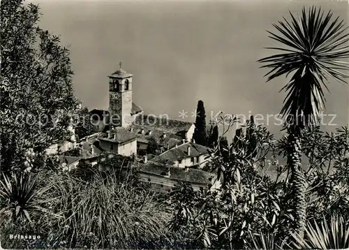 AK / Ansichtskarte Brissago_Lago_Maggiore Blick zur Kirche Palmen Brissago_Lago_Maggiore