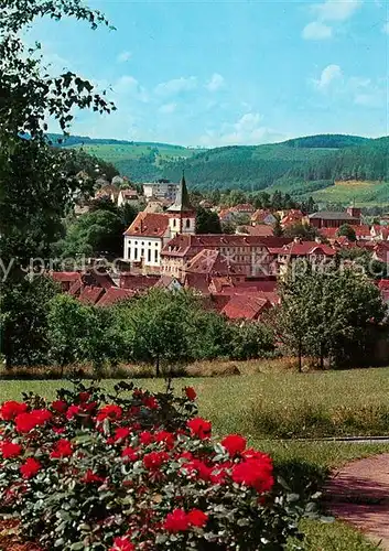 AK / Ansichtskarte Bad_Koenig_Odenwald Stadtpanorama Rosenbusch Bad_Koenig_Odenwald