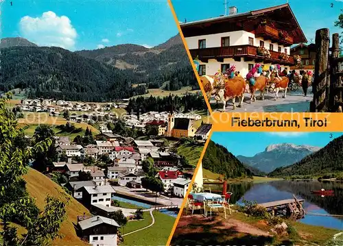 AK / Ansichtskarte Fieberbrunn_Tirol Almabetrieb Pillersee Steinplatte Fieberbrunn Tirol