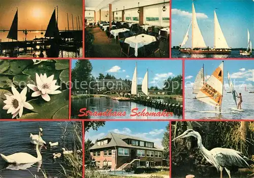 AK / Ansichtskarte Duemmerlohausen Strandhotel Seerose Schwaene Reiher Windsurfen Segeln Duemmerlohausen
