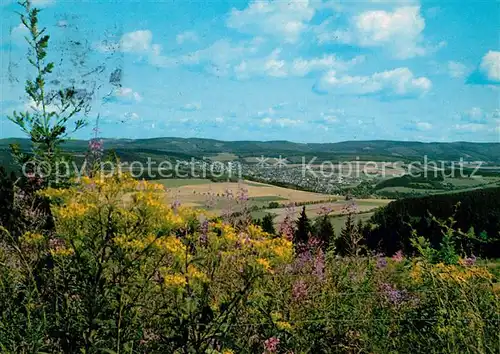 AK / Ansichtskarte Schmallenberg Panorama Schmallenberg