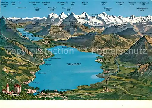 AK / Ansichtskarte Thunersee und Umgebung Alpenpanorama Thunersee