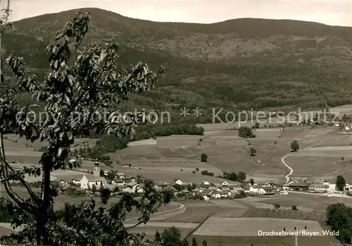 AK / Ansichtskarte Drachselsried Panorama Drachselsried