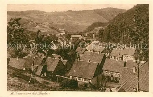 AK / Ansichtskarte Wildemann Panorama Wildemann