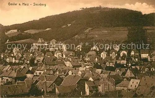 AK / Ansichtskarte Goslar Steinberg Goslar