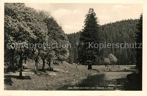 AK / Ansichtskarte Tanne_Harz Wahrzeichen Tanne_Harz