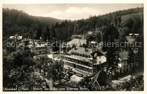 AK / Ansichtskarte Alexisbad_Harz Bad Blick vom Eisernen Kreuz Alexisbad_Harz