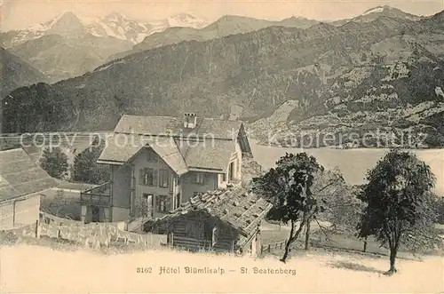 AK / Ansichtskarte Beatenberg Hotel Bluemlisalp Beatenberg