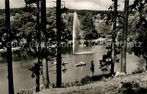 AK / Ansichtskarte Braunlage Gondelteich Fontaine Braunlage