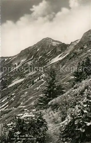 AK / Ansichtskarte Bruenig_BE Brienzer Rothorn Bruenig_BE