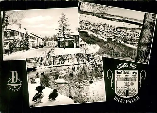 AK / Ansichtskarte Bad_Driburg Ortsmotiv Schwanensee Winterpanorama Wappen Bad_Driburg