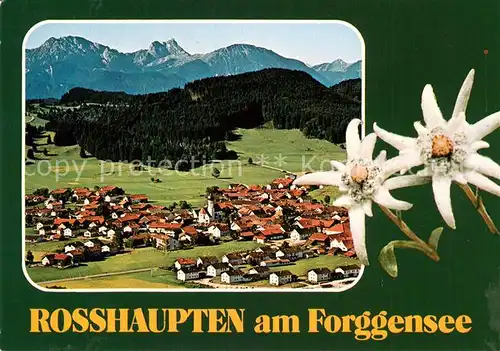 AK / Ansichtskarte Rosshaupten_Forggensee Fliegeraufnahme Rosshaupten Forggensee