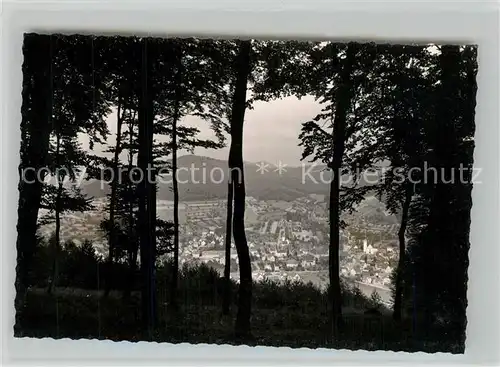 AK / Ansichtskarte Seelbach_Schutter Blick vom Wald aus Seelbach Schutter