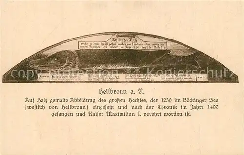 AK / Ansichtskarte Heilbronn_Neckar Hecht auf Holz gemalt Heilbronn Neckar