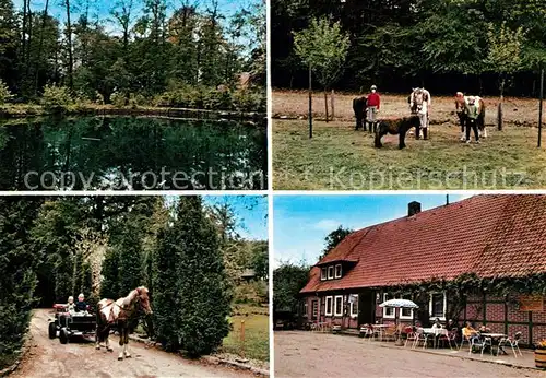 AK / Ansichtskarte Harber_Moor Urlaub auf dem Bauernhof Pension Willenbockel Ponys Ponykutsche Teich Harber Moor