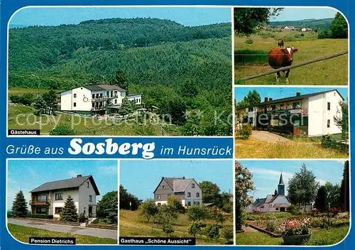 AK / Ansichtskarte Sosberg Gaestehaus der Selbsthilfe Koerperbehinderter e.V. Pension Ortsmotiv mit Kirche Viehweide Kuehe Sosberg