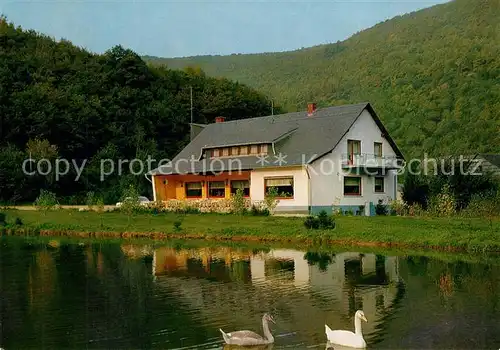 AK / Ansichtskarte Rudolfshausen_Nahe Gasthaus Pension Reinhartsmuehle Teich Rudolfshausen Nahe