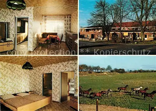 AK / Ansichtskarte Haren_Ems Reiterhof Pension Luessing Haren_Ems