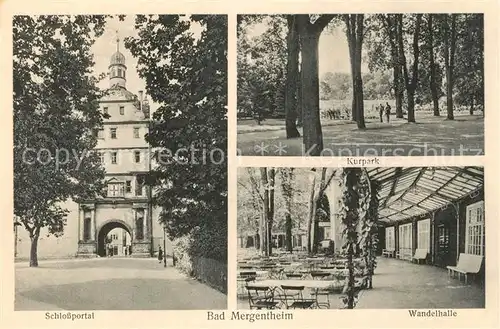 AK / Ansichtskarte Bad_Mergentheim Schloss Portal Kurpark Wandelhalle Bad_Mergentheim