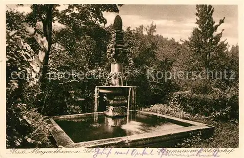 AK / Ansichtskarte Bad_Mergentheim Brunnen Schlosshof Bad_Mergentheim