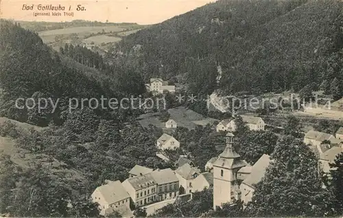 AK / Ansichtskarte Bad_Gottleuba Berggiesshuebel Panorama Bad