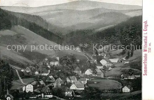 AK / Ansichtskarte Wildenthal_Eibenstock Panorama Wildenthal_Eibenstock