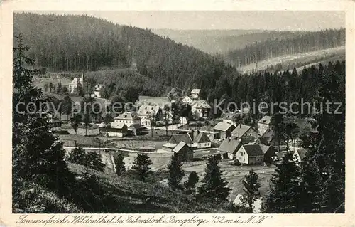 AK / Ansichtskarte Wildenthal_Eibenstock Panorama Wildenthal_Eibenstock