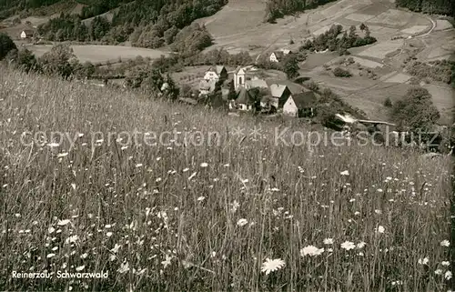 AK / Ansichtskarte Reinerzau Panorama Reinerzau