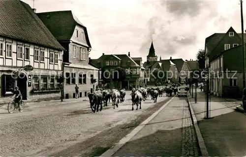 AK / Ansichtskarte Winterberg_Hochsauerland Kuhherde Dorfansicht Winterberg_Hochsauerland