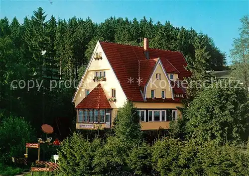 AK / Ansichtskarte Braunlage Hotel Pension Brockenhexe Braunlage