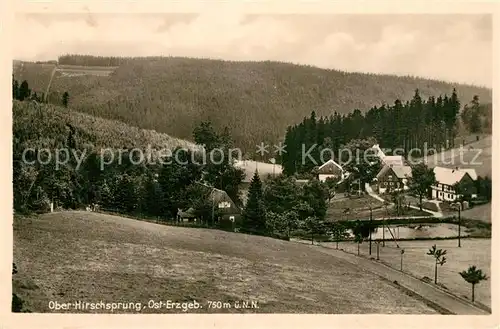 AK / Ansichtskarte Hirschsprung Ober Hirschsprung Panorama Hirschsprung