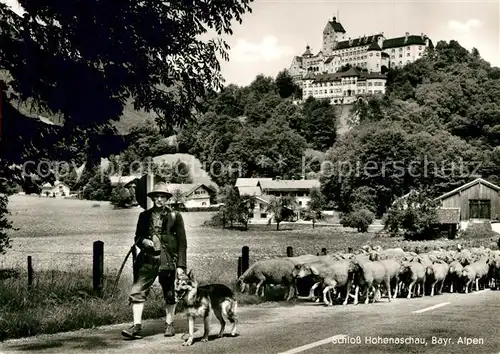 AK / Ansichtskarte Hohenaschau_Chiemgau Schloss Schaefer Herde Hohenaschau Chiemgau