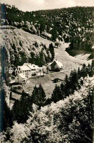 AK / Ansichtskarte Haeg Ehrsberg Gasthaus Pension Zum Forsthof  Haeg Ehrsberg