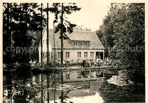 AK / Ansichtskarte Schmiedefeld_Rennsteig Im Naturpark Schmiedefeld_Rennsteig