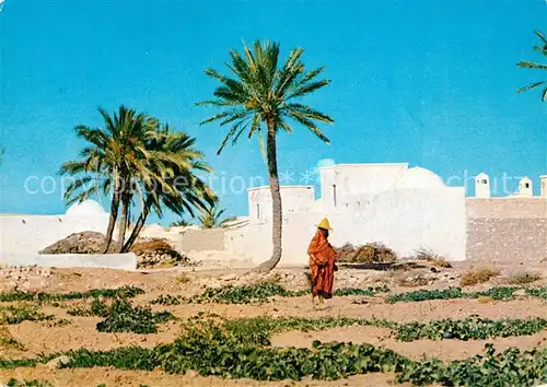 AK / Ansichtskarte Jerba Habitat traditionnel Jerba