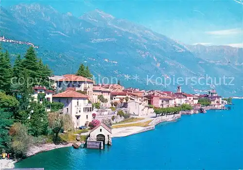 AK / Ansichtskarte Cannobio_Lago_Maggiore Panorama Cannobio_Lago_Maggiore