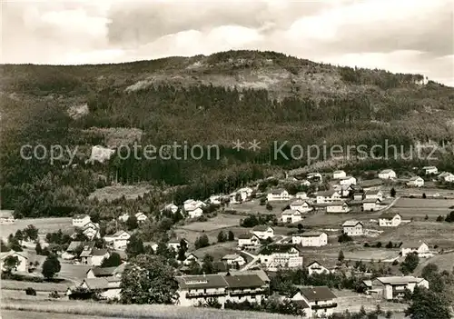 AK / Ansichtskarte Scherau_Bodenmais Panorama Luftkurort mit Hochzell Bayerischer Wald 