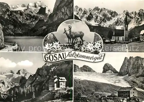 AK / Ansichtskarte Gosau_Oberoesterreich Gablonzer Huette Adamek Huette Gosau_Oberoesterreich