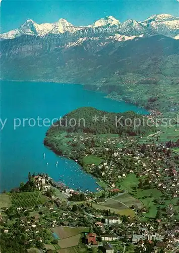 AK / Ansichtskarte Spiez_Thunersee_BE Fulensee Eiger Moench und Jungfrau Berner Alpen Fliegeraufnahme Spiez_Thunersee_BE
