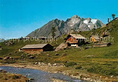 AK / Ansichtskarte Matrei_Osttirol Steiner Alm mit Kristallkopf und Hintereggerkogel Matrei_Osttirol