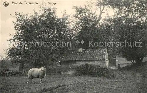 AK / Ansichtskarte Tervueren Paysage Mouton Landschaft Schaf Tervueren