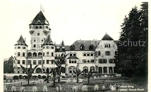 AK / Ansichtskarte Luxembourg_Luxemburg Colmar Berg Chateau Grand Ducal Luxembourg Luxemburg