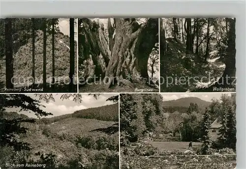 AK / Ansichtskarte Luebbecke_Westfalen Reineberg Suedwand Burglinde Wallgraben Feuerrenne und Reineberg Luebbecke_Westfalen