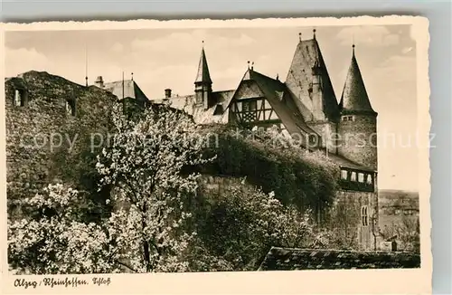 AK / Ansichtskarte Alzey Schloss chamois Buetten Alzey