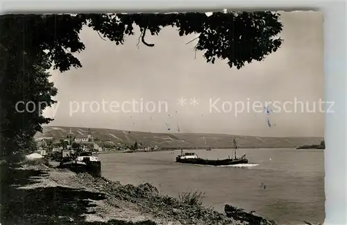 AK / Ansichtskarte Nierstein_Rhein Uferpartie am Rhein Binnenschiffahrt Nierstein_Rhein