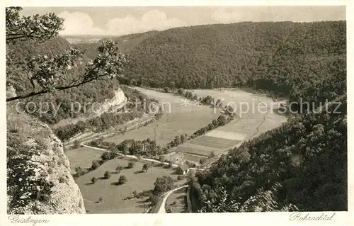 AK / Ansichtskarte Geislingen_Steige Panorama Geislingen_Steige