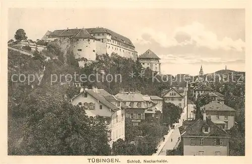 AK / Ansichtskarte Tuebingen Schloss Neckarhalde Tuebingen