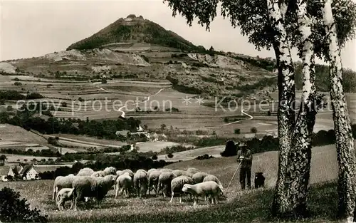 AK / Ansichtskarte Goeppingen Landschaftspanorama mit Blick zum Hohenstaufen Schafherde Schaefer Hirtenhund Goeppingen