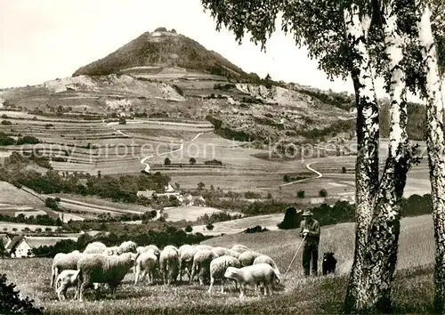 AK / Ansichtskarte Goeppingen Landschaftspanorama mit Blick zum Hohenstaufen Schafherde Schaefer Hirtenhund Goeppingen